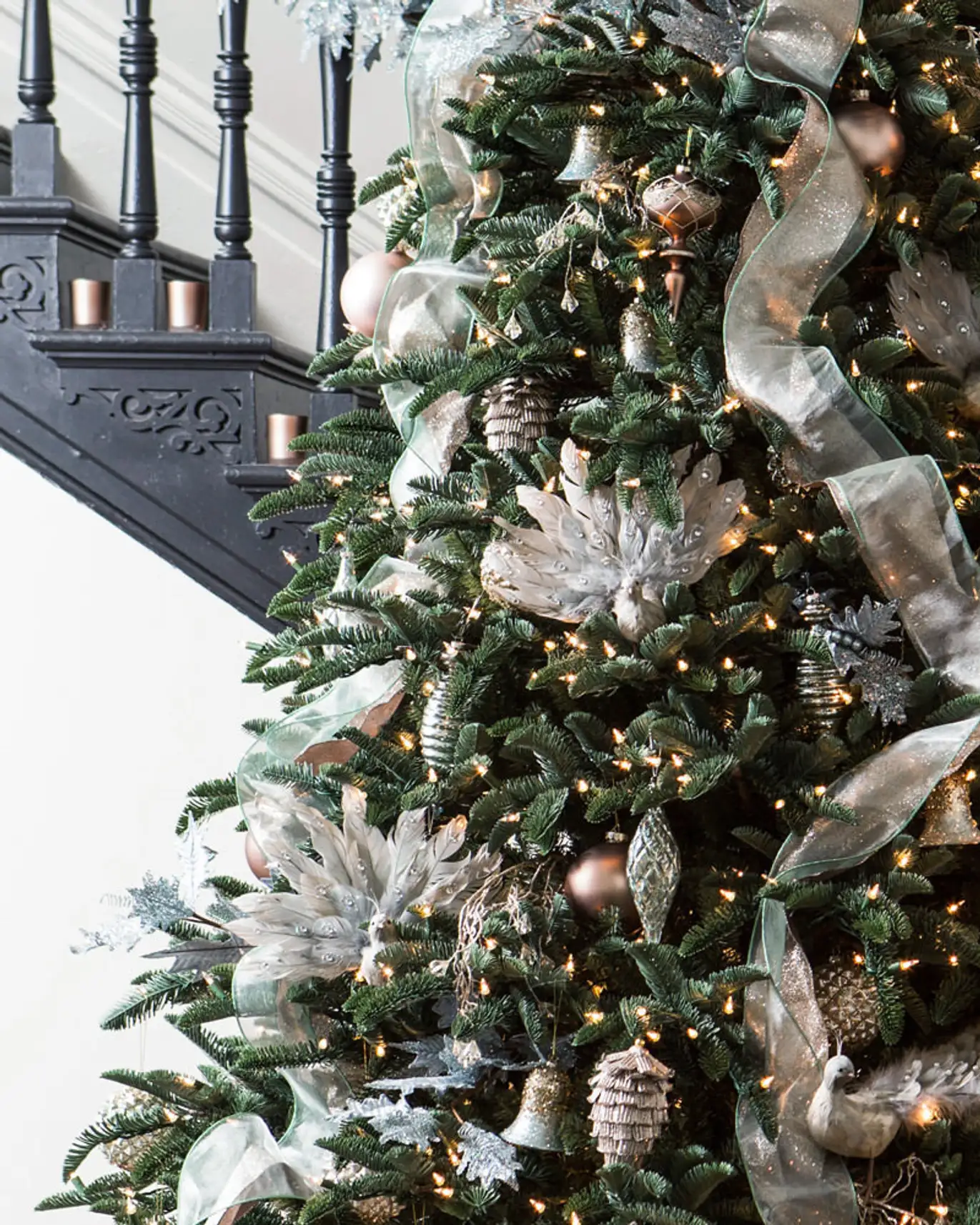 BH Noble Fir Narrow Tree