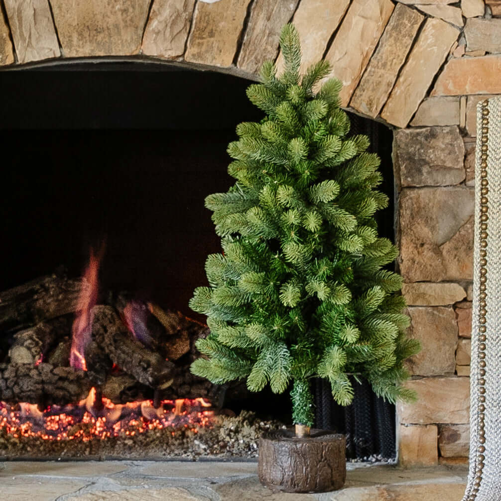 3' Royal Fir Tabletop Tree 100 Warm White LED Lights