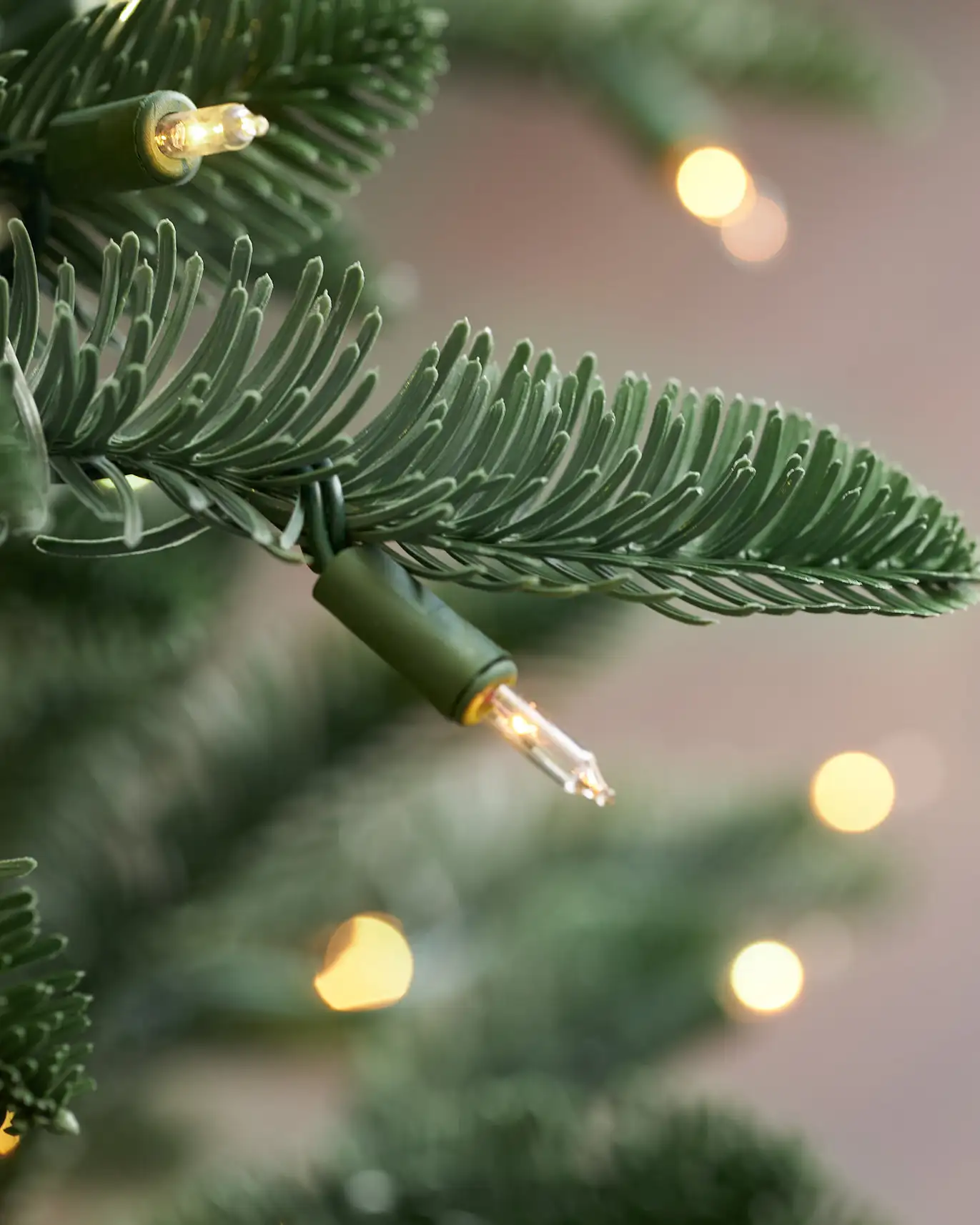 BH Noble Fir Narrow Tree