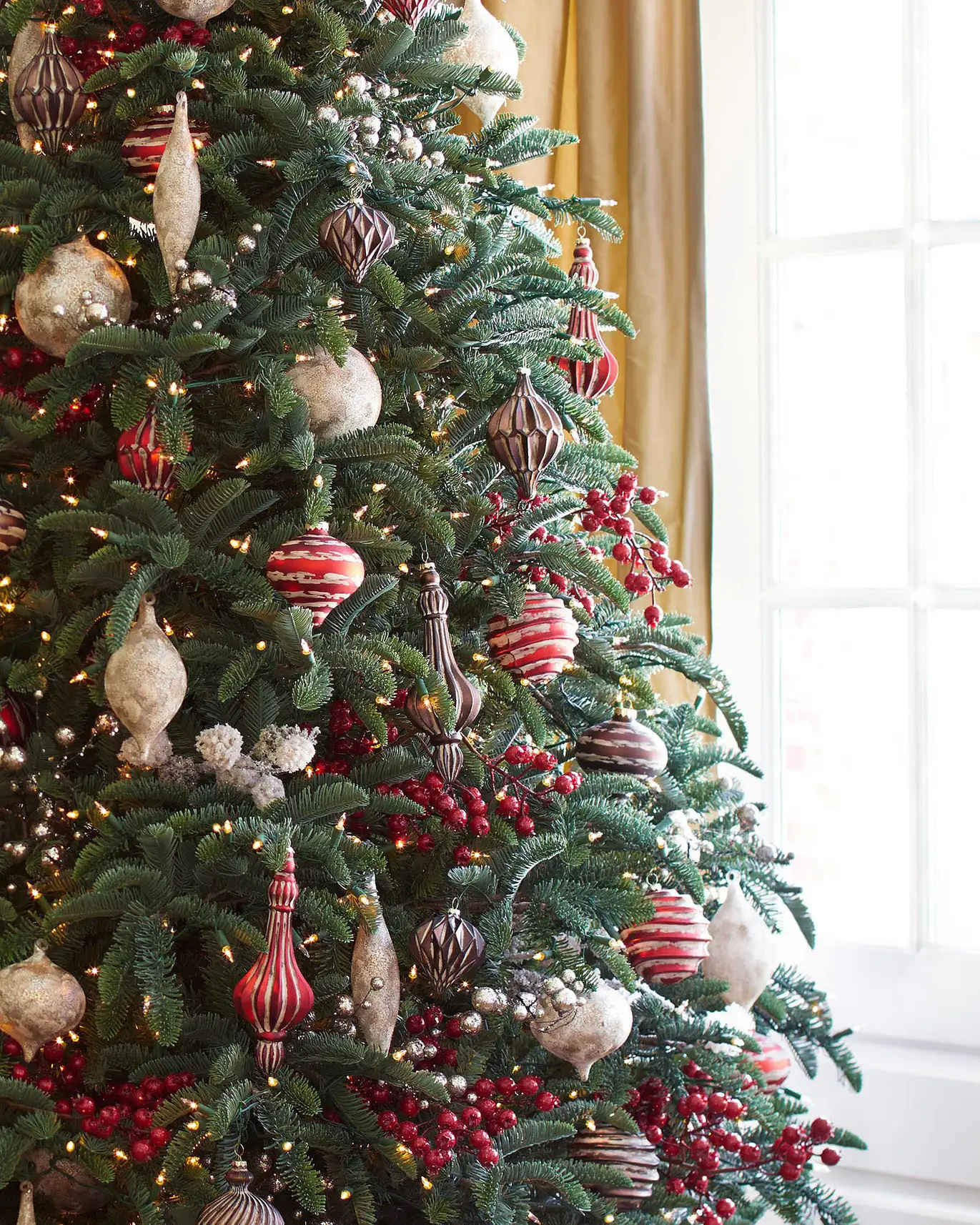 BH Noble Fir Narrow Tree