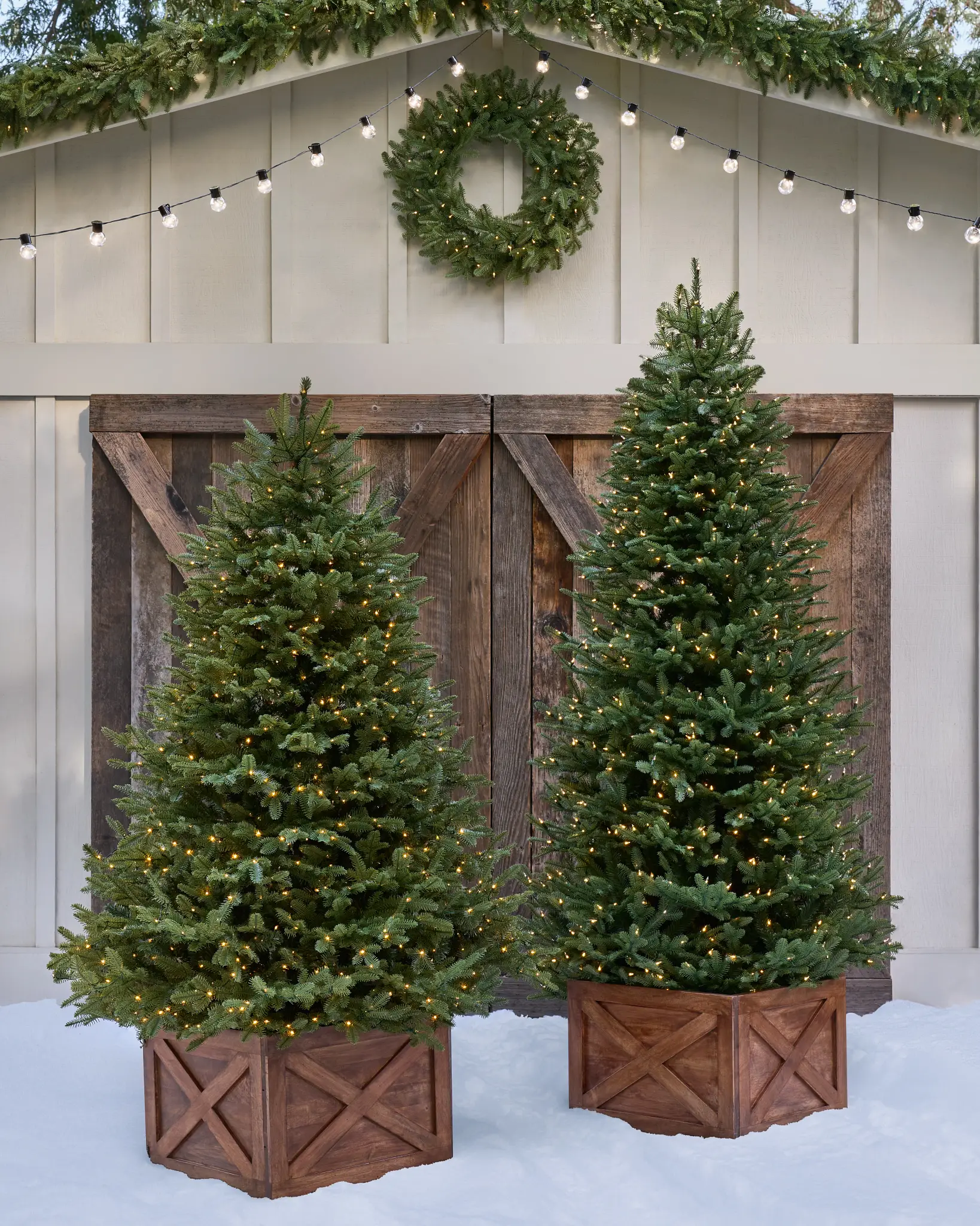 BH Balsam Fir Narrow Tree