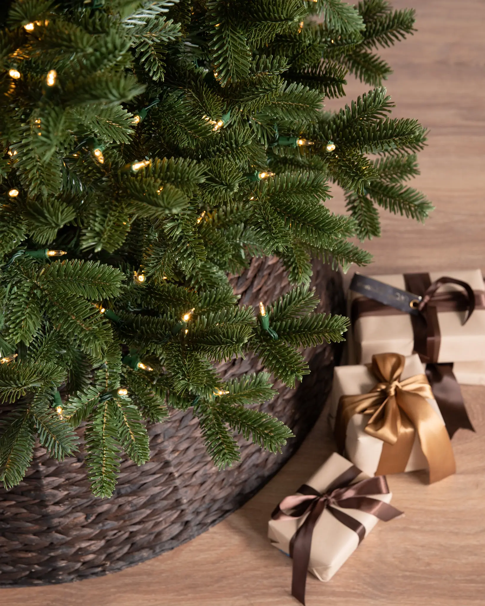 BH Fraser Fir Narrow Tree